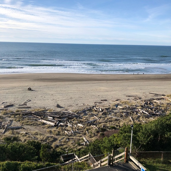 Meet your Posher, Nina - Picture 1 of 1